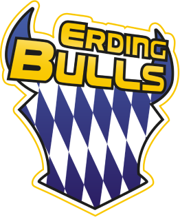 Fehler 404 · Erding Bulls - Logo